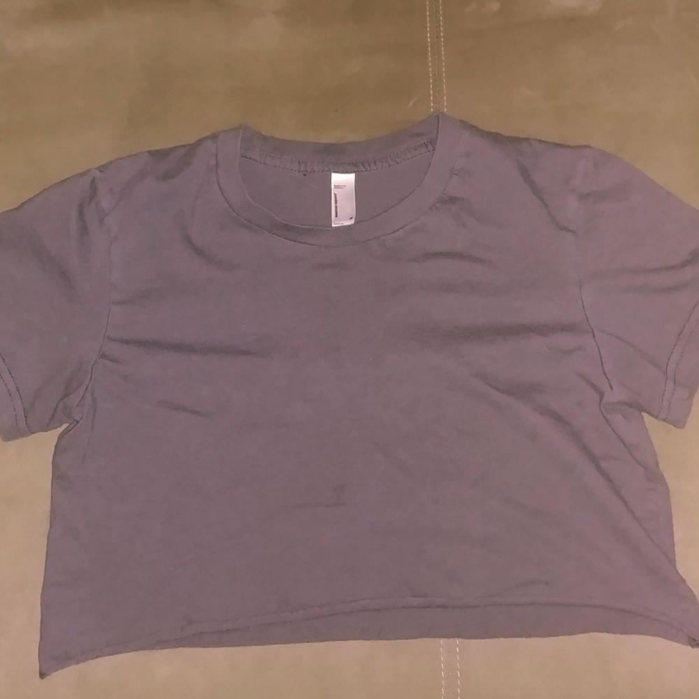 American Apparel dark gray crop top